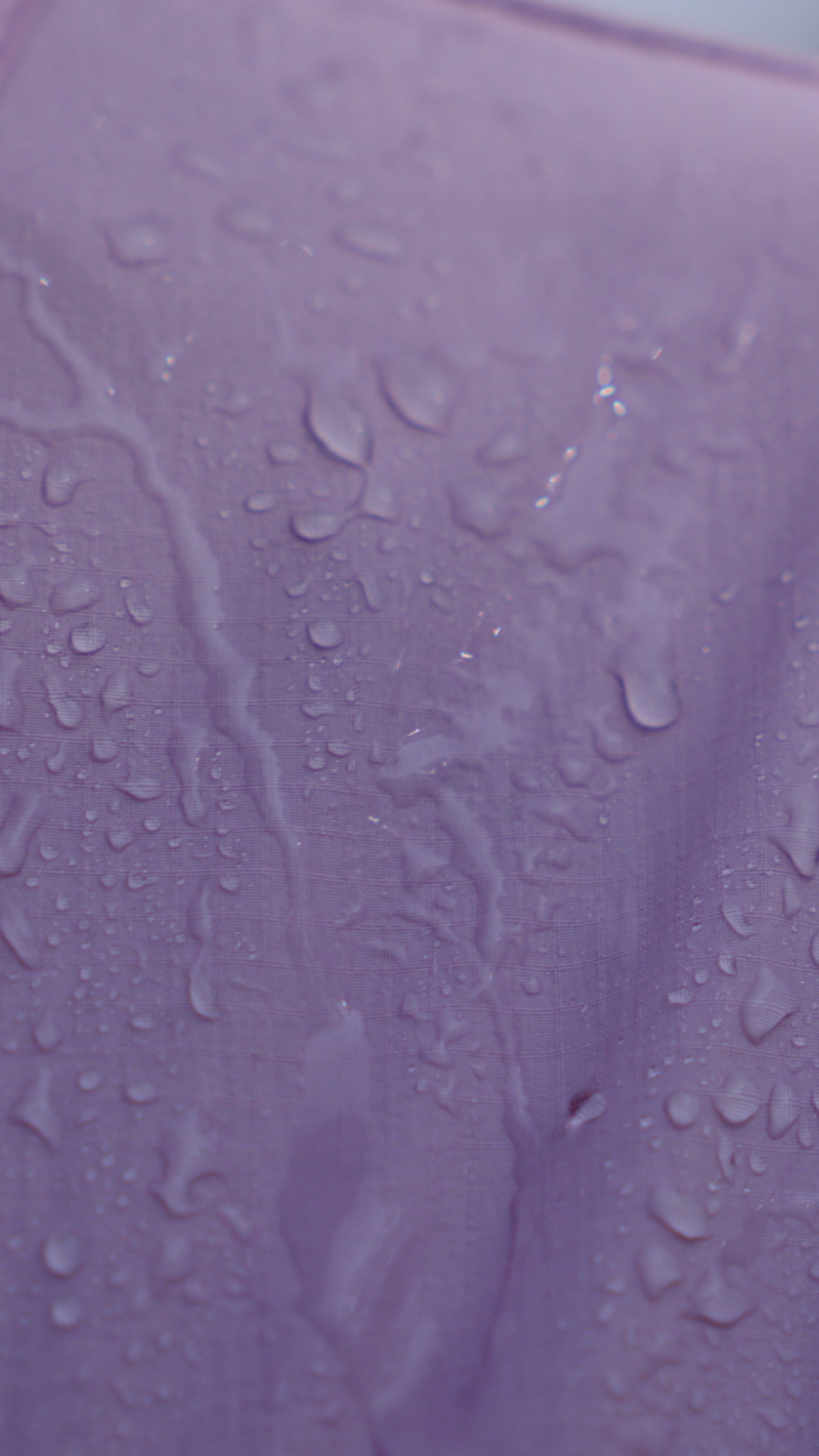 What Is a Waterproof Membrane — And Do You Actually Need One?